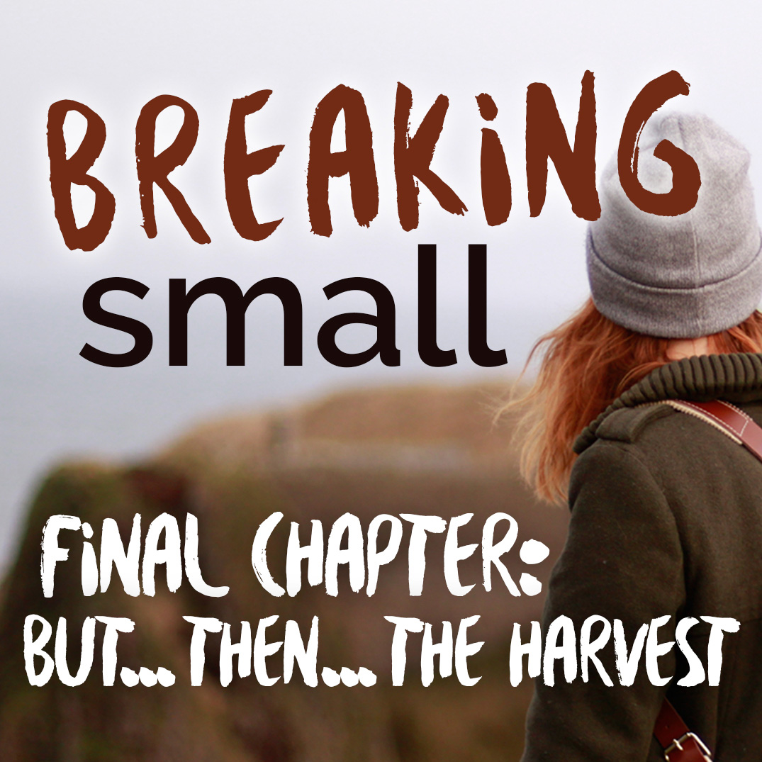 Breaking Small: Part 7