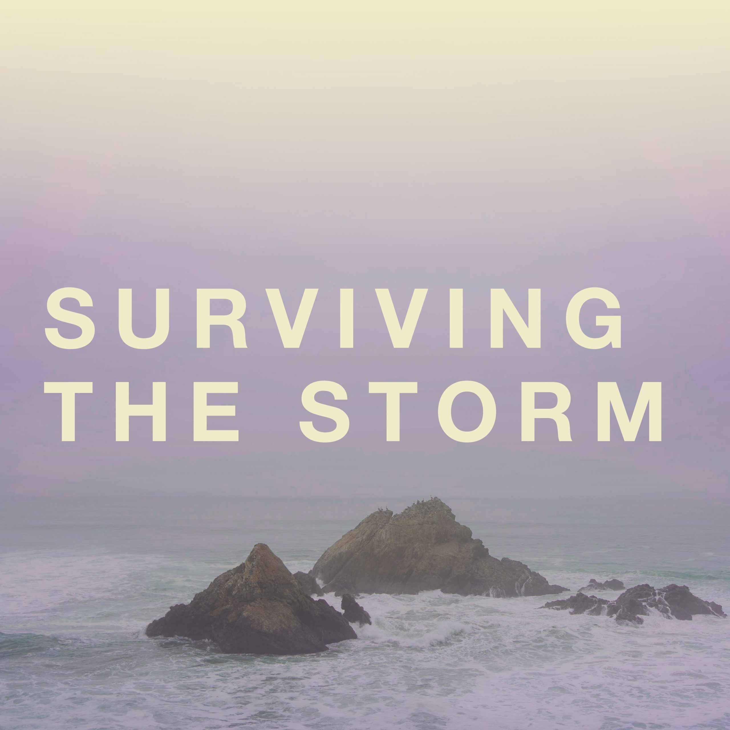 Surviving the Storm