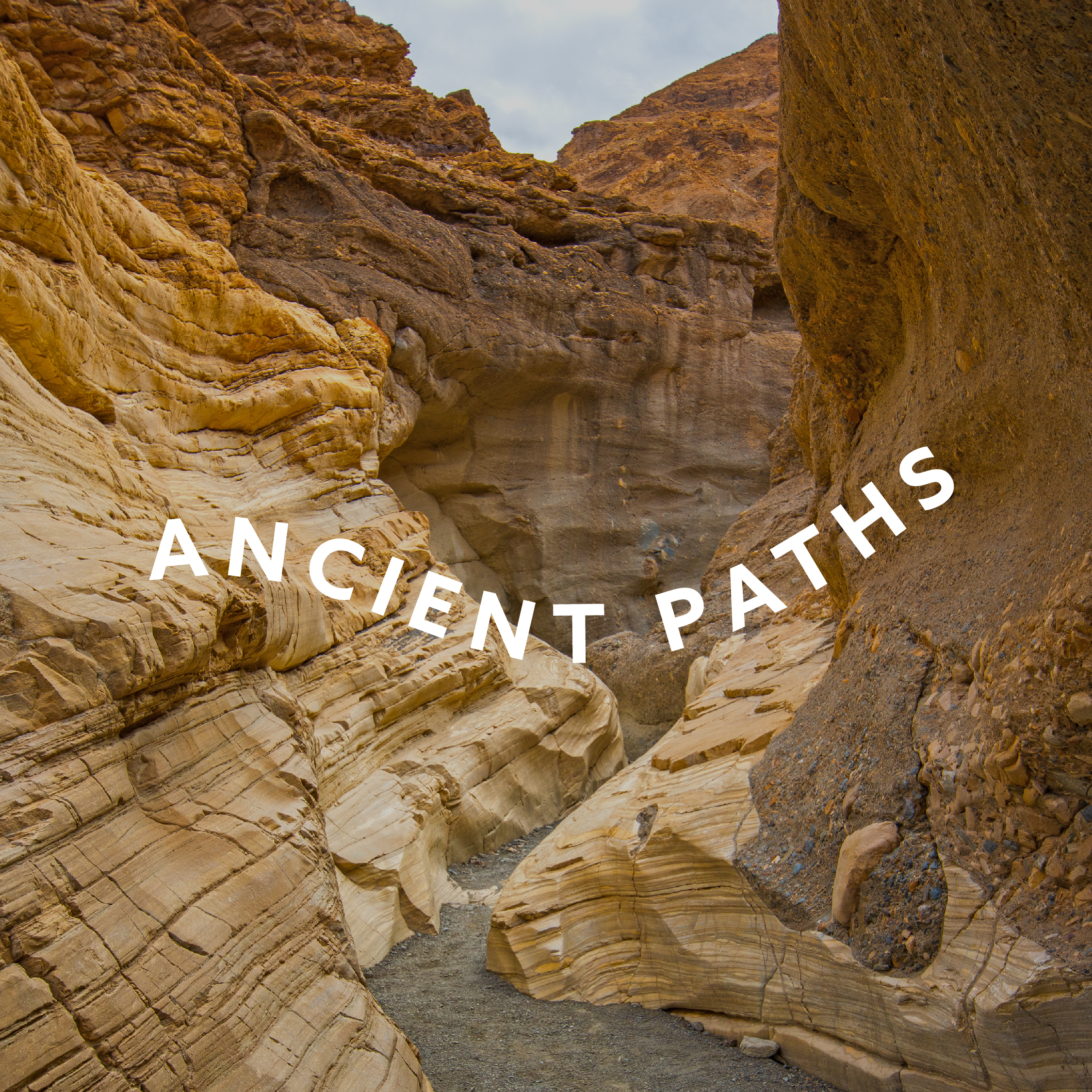 Ancient Paths: Part 7